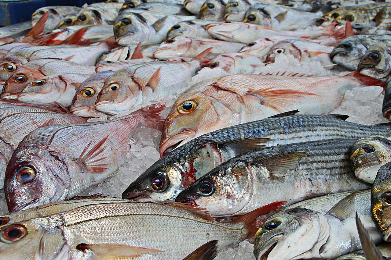 A narrow Kadikoy market lane with fish laid out on crushed ice and pickle jars in a shopfront