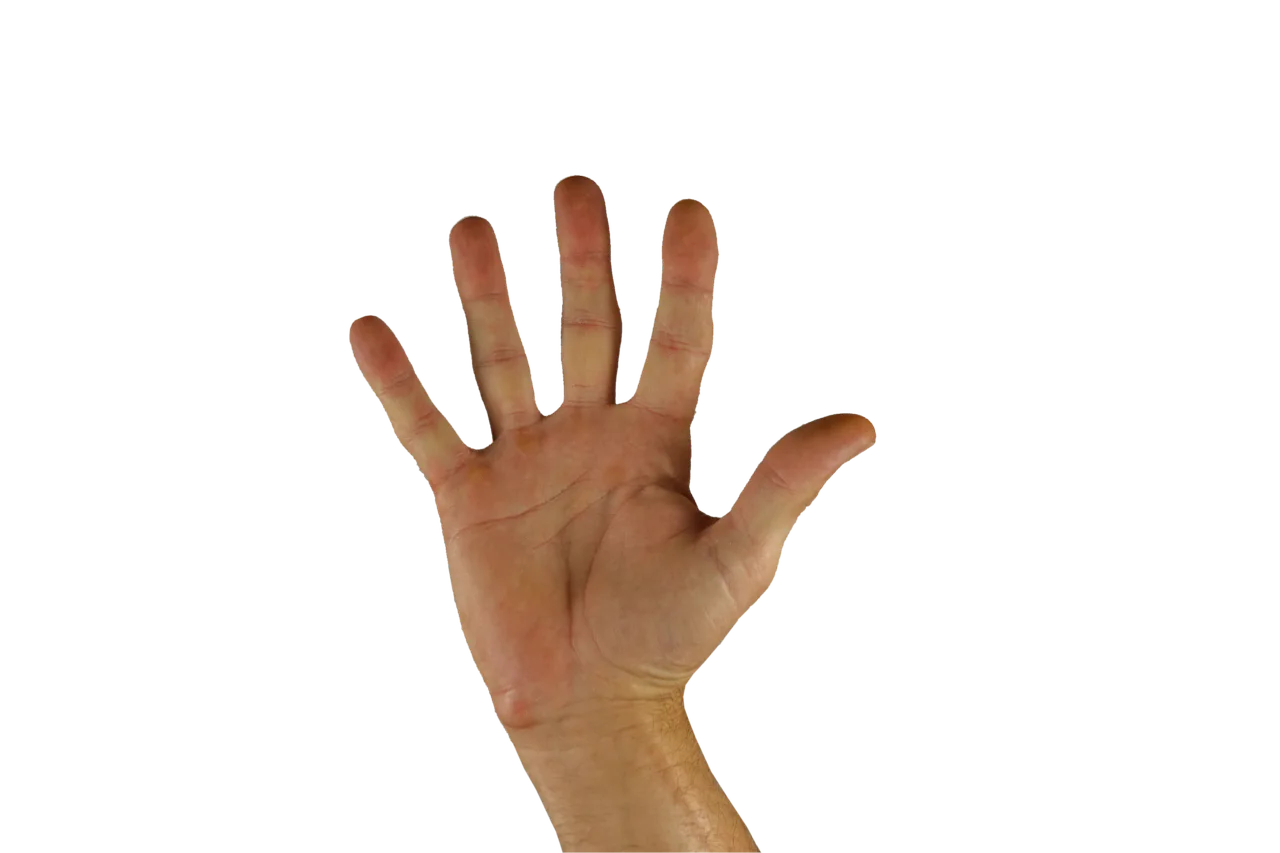 Hands pressed palm to palm at chest height in the Thai wai greeting, seen in profile